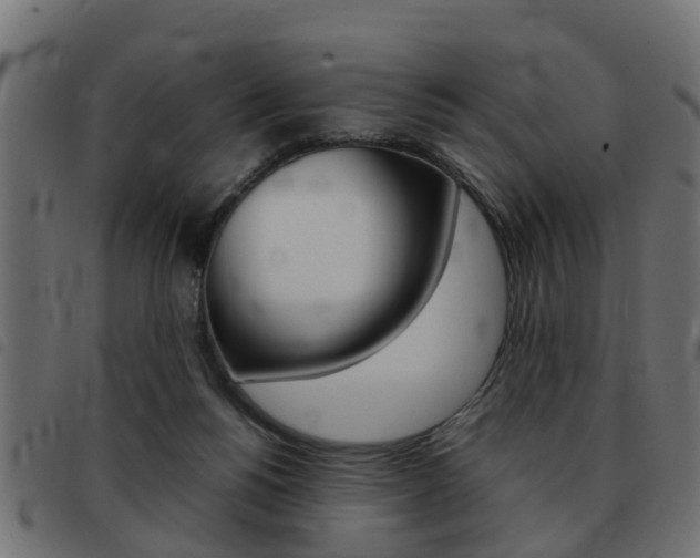 X0000093420168200710120904