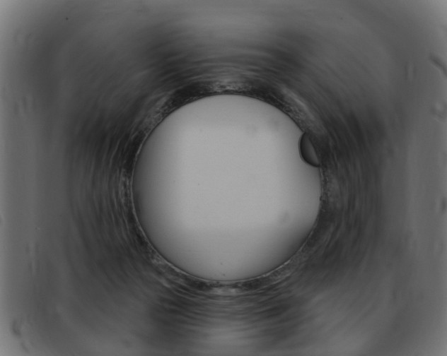 X0000093420169200710120904