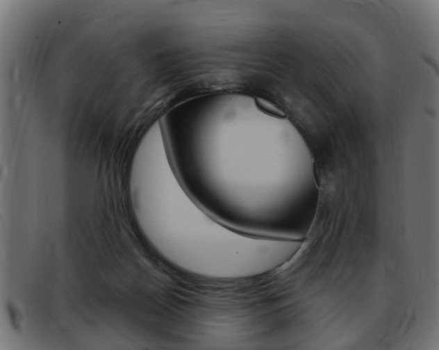 X0000093420170200710120904