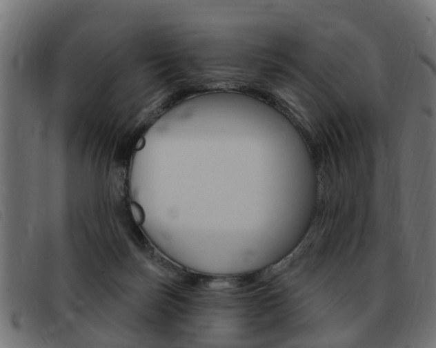 X0000093420171200710120904