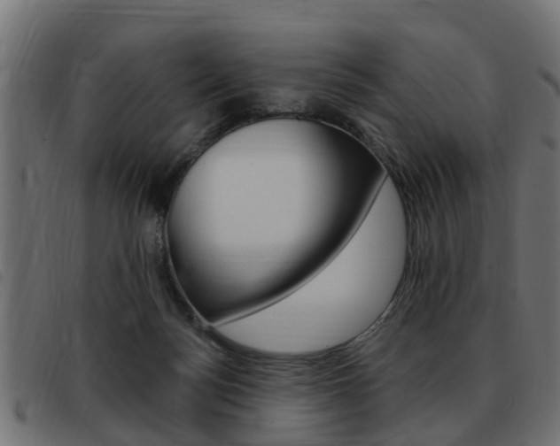 X0000093420172200710120904