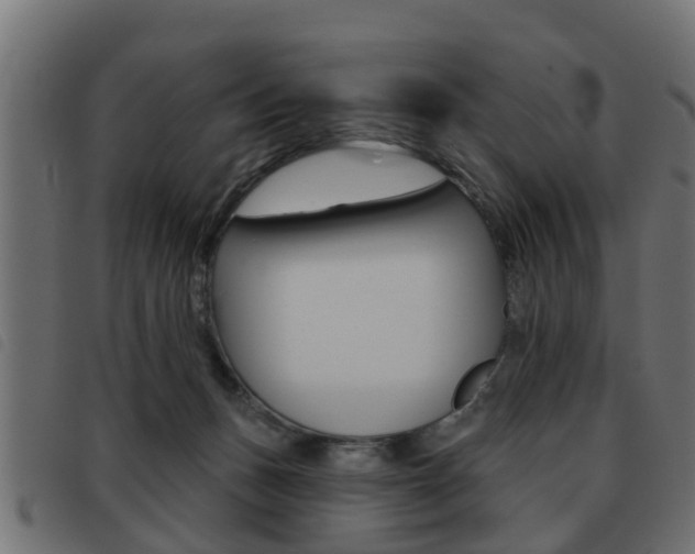 X0000093420175200710120904