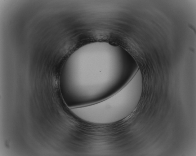 X0000093420176200710120904