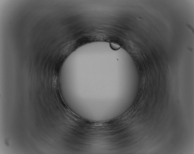 X0000093420177200710120904
