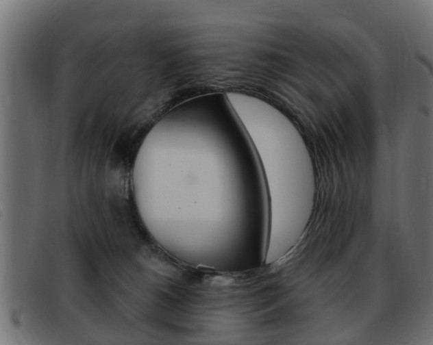 X0000093420180200710120904