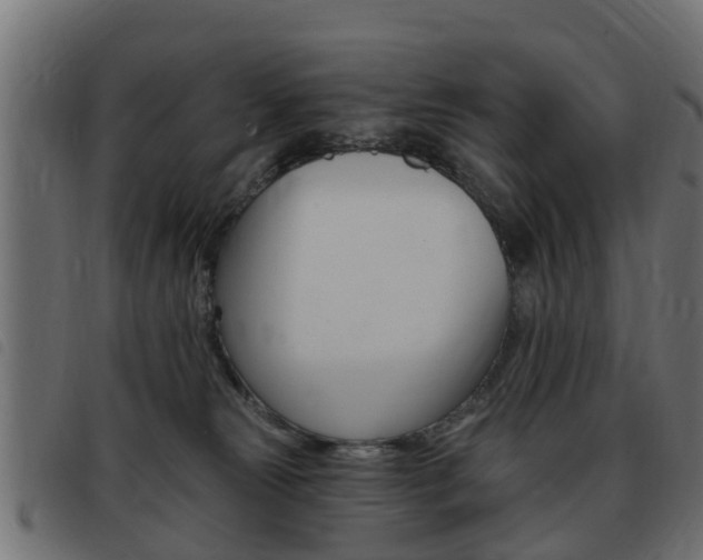 X0000093420181200710120904