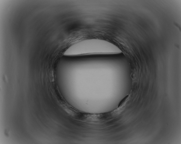 X0000093420182200710120904