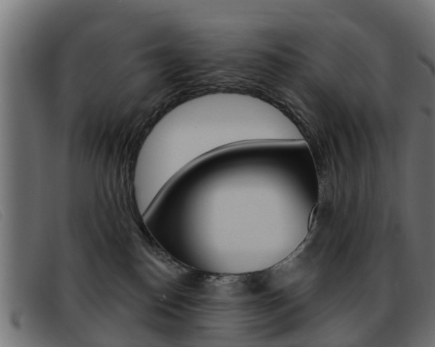 X0000093420186200710120904