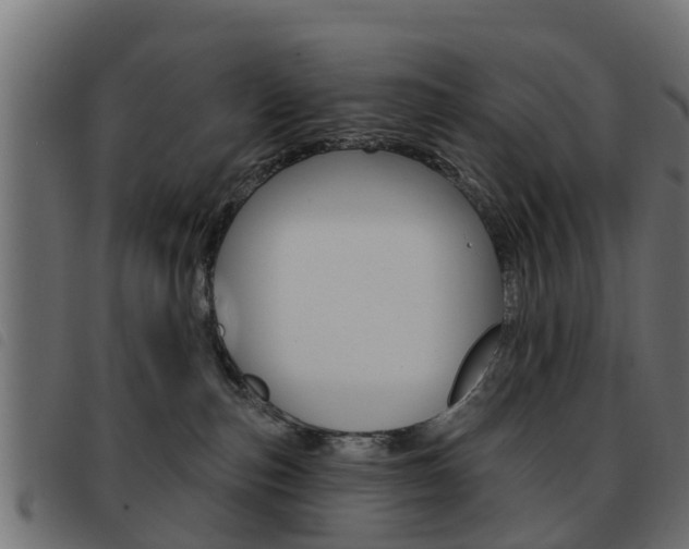 X0000093420187200710120904