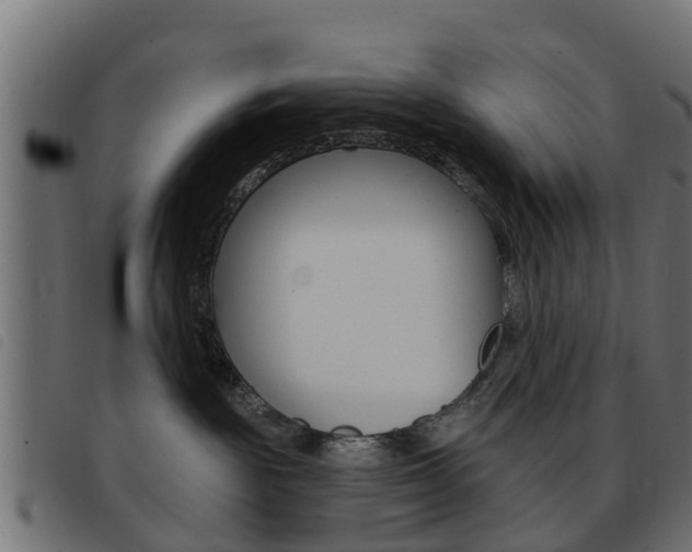 X0000093420189200710120904