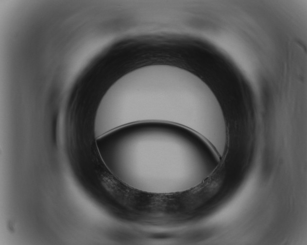 X0000093420190200710120904