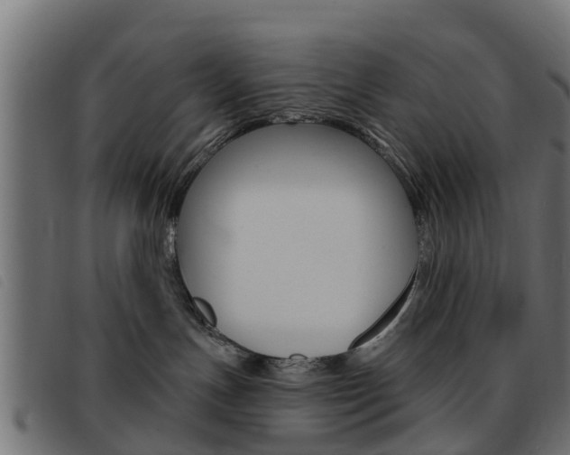 X0000093420191200710120904