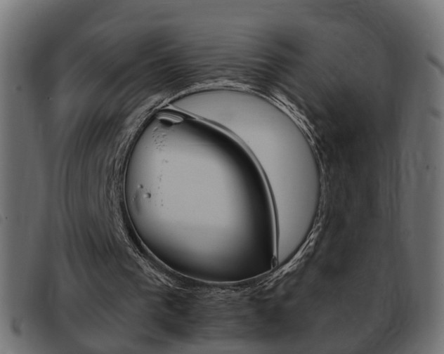 X0000093420193200710120904