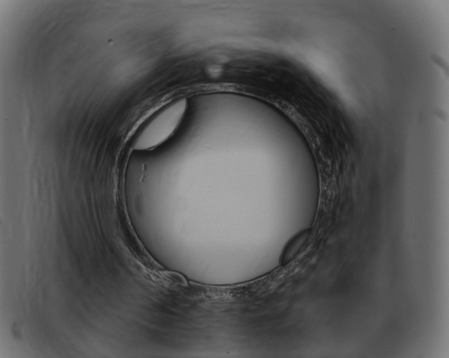 X0000093420194200710120904