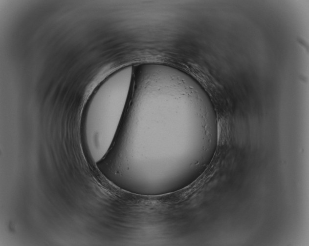 X0000093420195200710120904