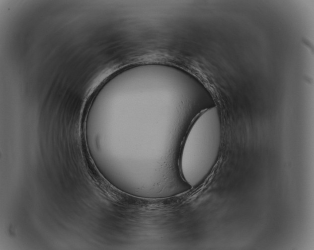 X0000093420196200710120904