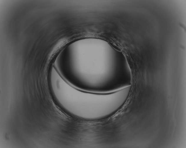 X0000093420197200710120904