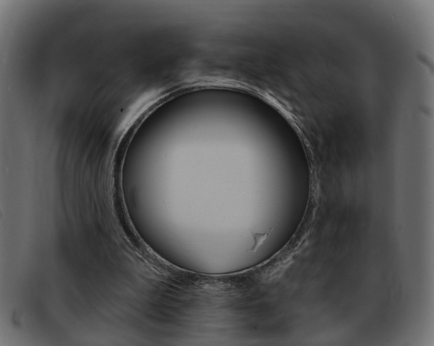 X0000093420199200710120904