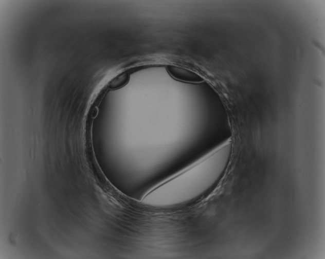 X0000093420200200710120904