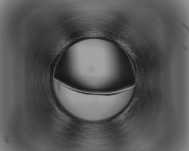 X0000093420201200710120904