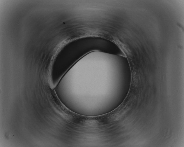 X0000093420203200710120903