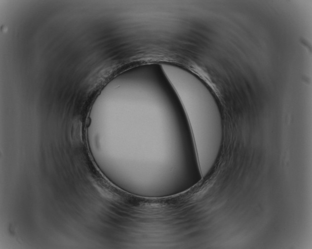 X0000093420205200710120903