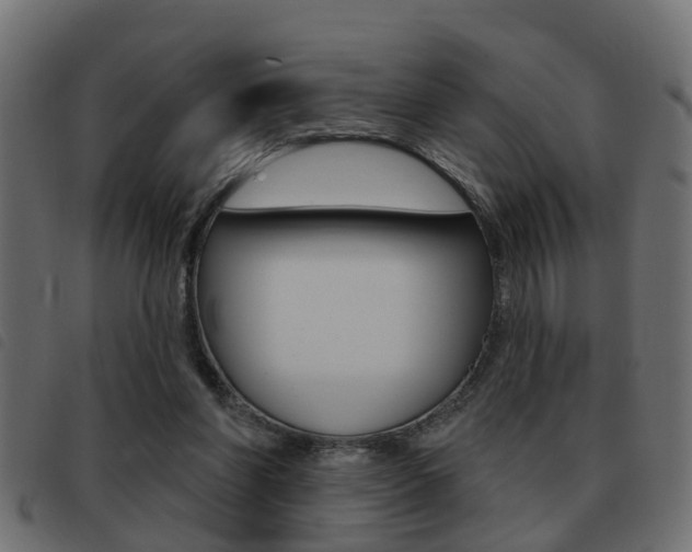X0000093420206200710120903