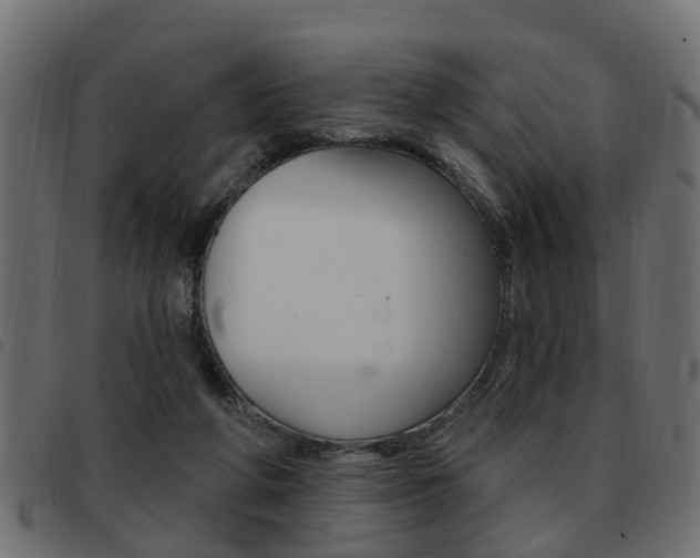 X0000093420210200710120903