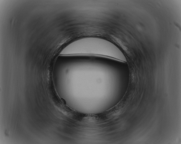 X0000093420211200710120903