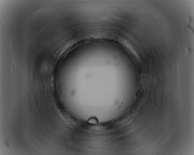 X0000093420212200710120903