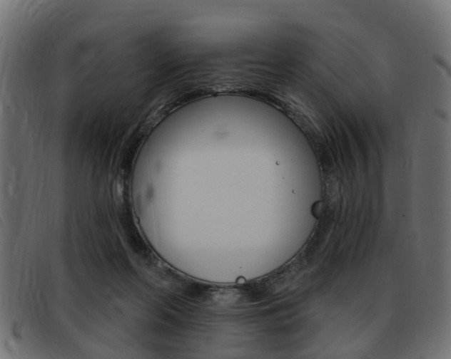 X0000093420214200710120903