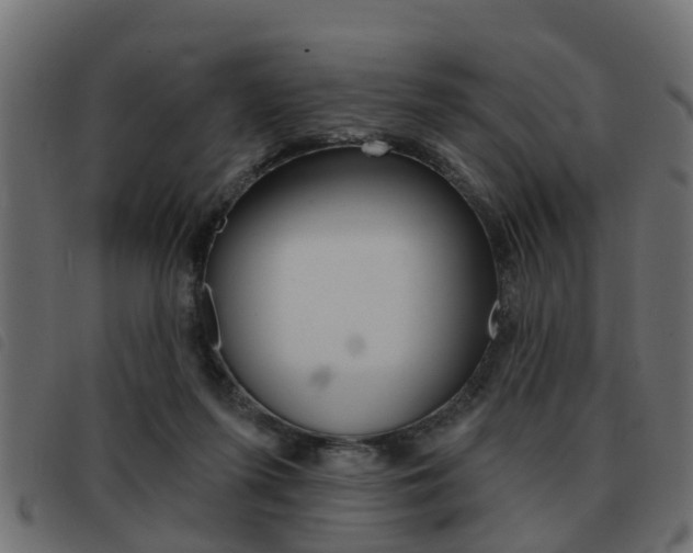 X0000093420215200710120903