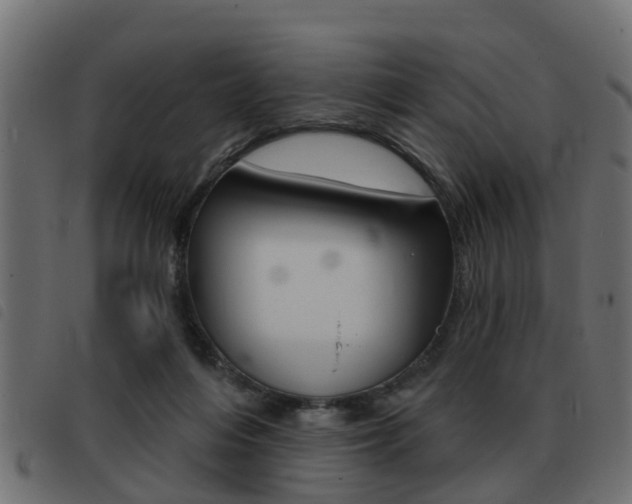 X0000093420216200710120903