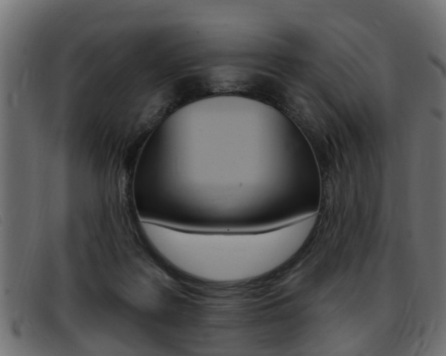 X0000093420219200710120903