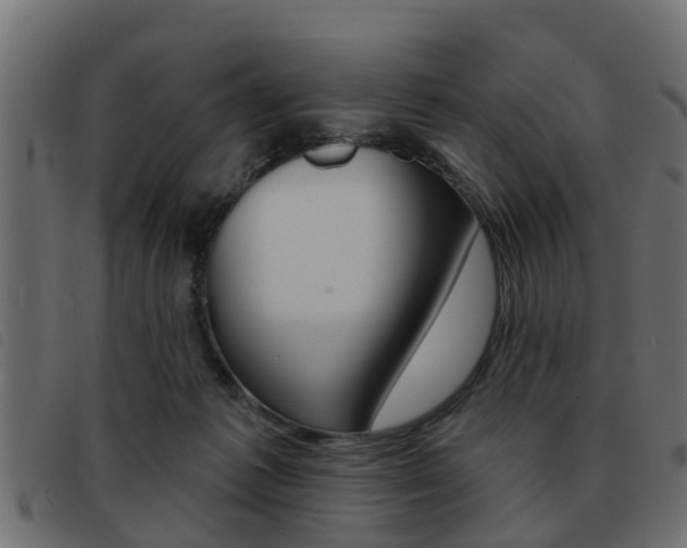 X0000093420221200710120903