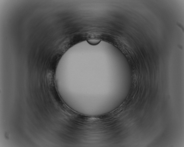 X0000093420222200710120903