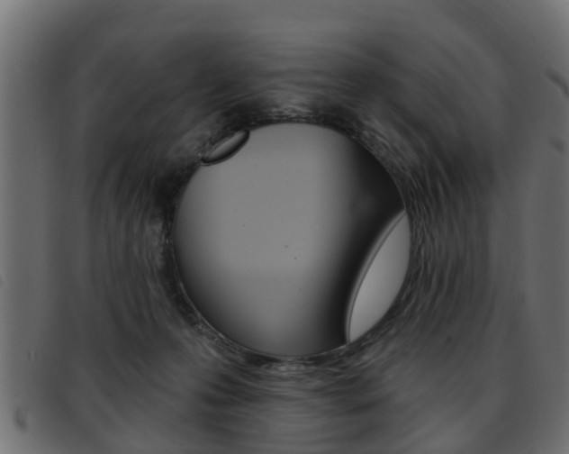 X0000093420223200710120903