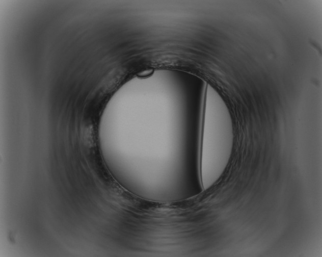 X0000093420224200710120903