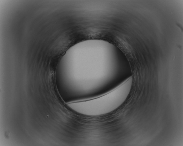 X0000093420225200710120903