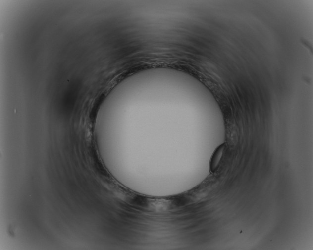 X0000093420226200710120903