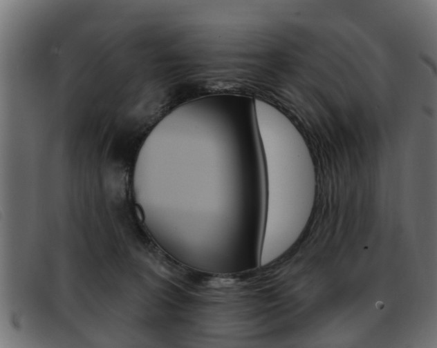 X0000093420227200710120903