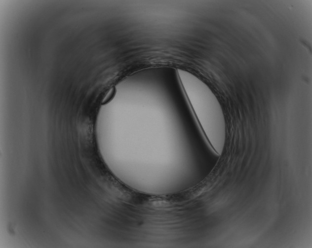 X0000093420228200710120903