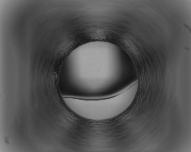 X0000093420229200710120903