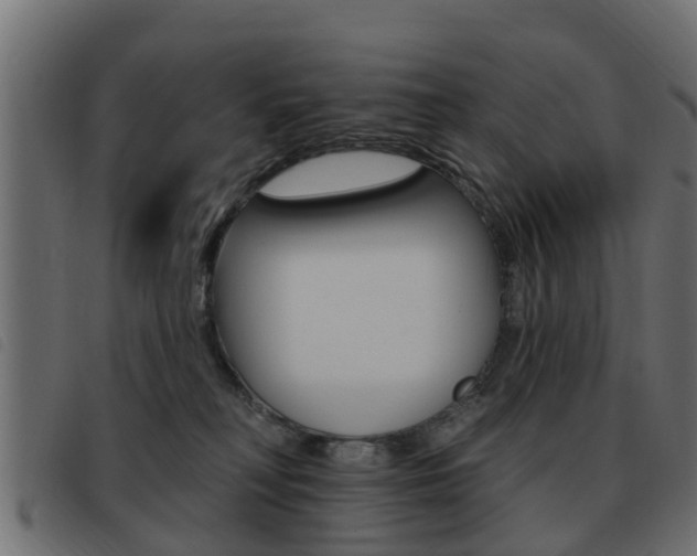 X0000093420230200710120903