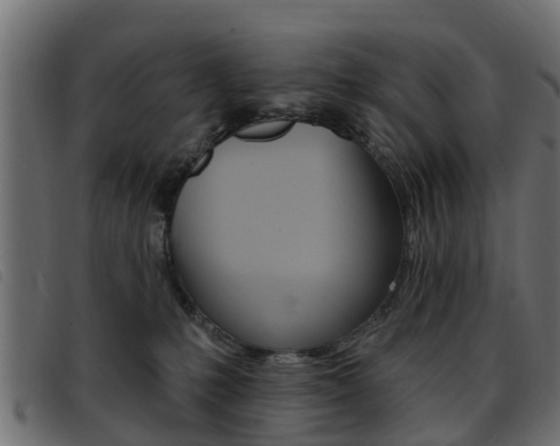 X0000093420231200710120903