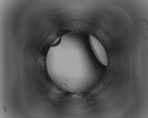 X0000093420232200710120903
