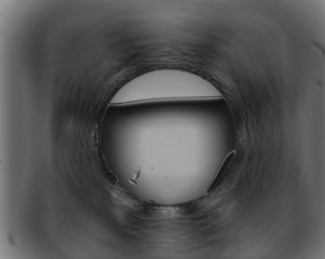 X0000093420233200710120903
