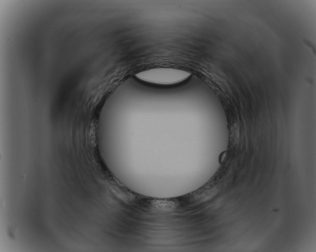 X0000093420234200710120903