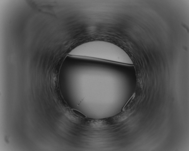 X0000093420235200710120903