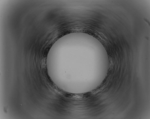 X0000093420236200710120903